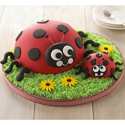 Ladybird Cake