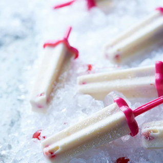 Vitamix Easy Delicious Recipes